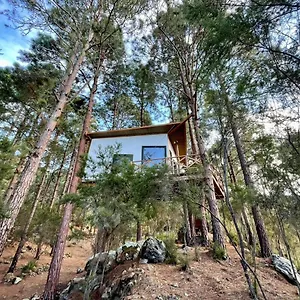 Casita Colgada Lia , La Guancha España